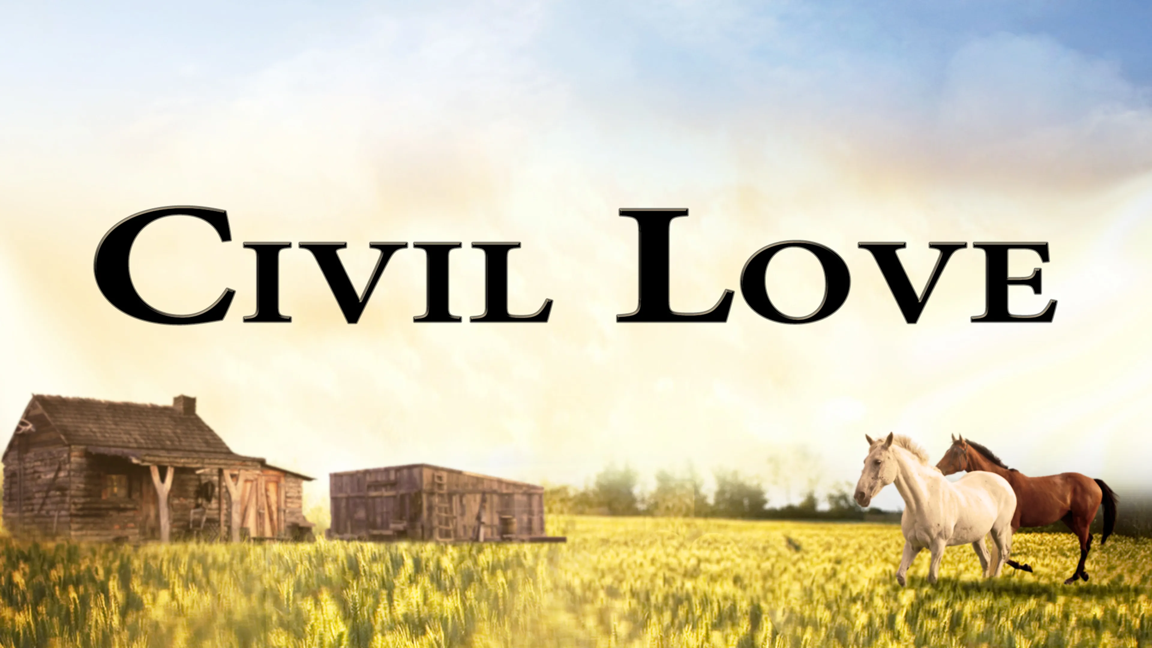 Civil Love poster